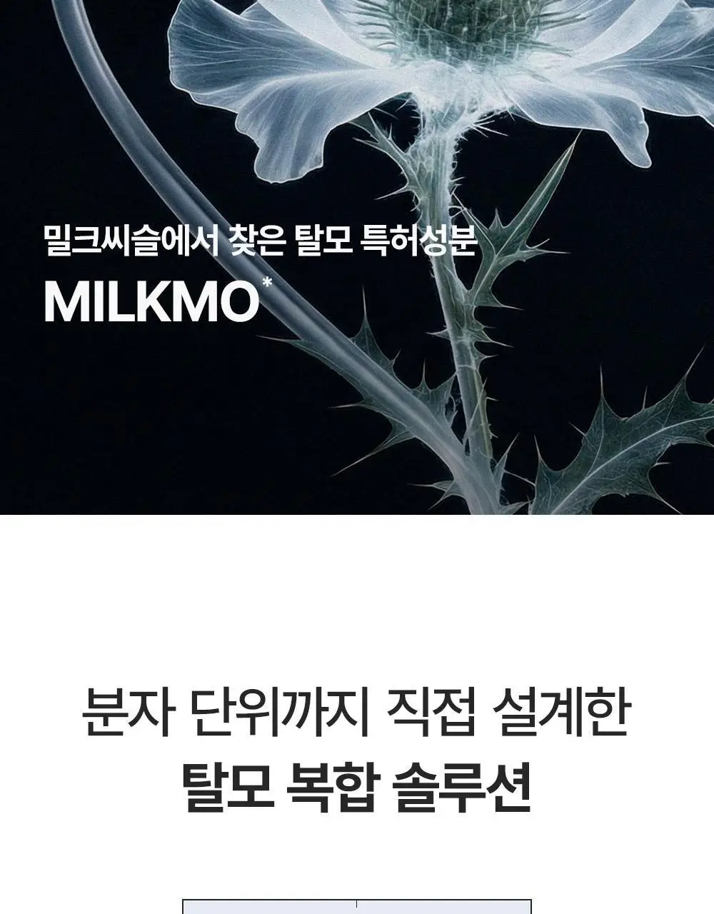[M자복구앰플/두피괄사] 다슈 데일리 밀크씨슬 스피큘샷 스칼프 앰플 70ml 상세페이지 15